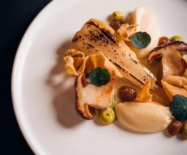 Отель Hot_Elarnia Hotel & Spa Пущиково